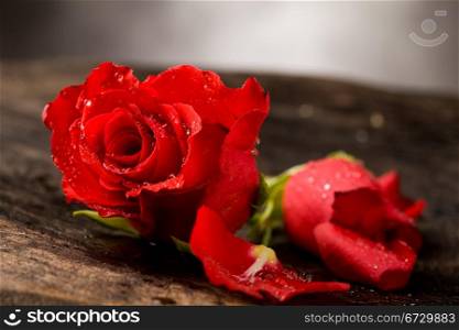 photo of red rose with water drops on wooden table