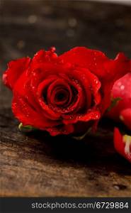 photo of red rose with water drops on wooden table