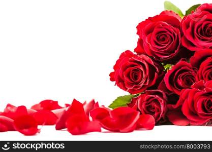 Photo of red roses and petals over white isolated background