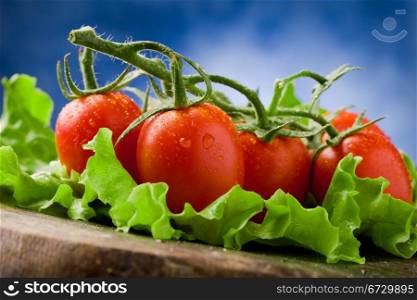 photo of red tomatoes with water drops over lettuce bed