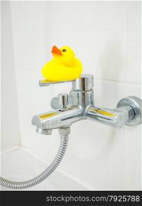 Photo of small rubber duck standing on shower faucet