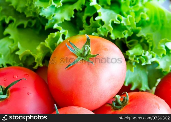 Photo of still life with fresh vegetables