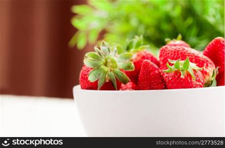 photo of strawberries with a green plan as a background