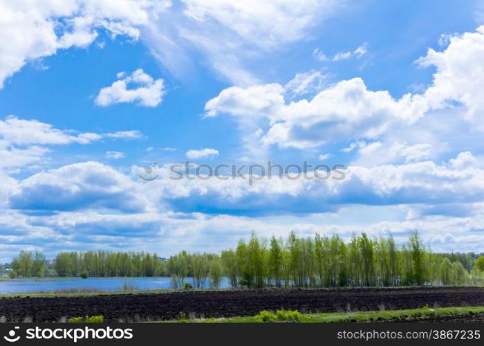 Photo of summer landscape with sky and forest