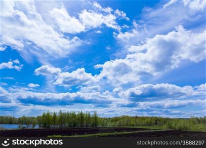 Photo of summer landscape with sky and forest