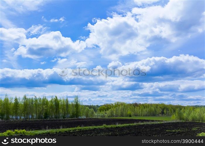 Photo of summer landscape with sky and forest