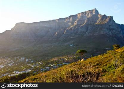 Photo Of Table Mountain Taken From The View From Lions Head