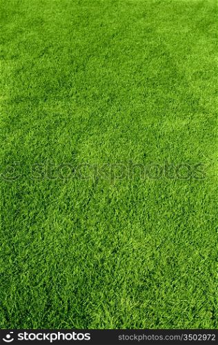 Photo of the beautiful green grass texture
