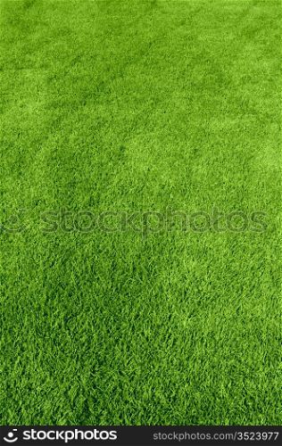 Photo of the beautiful green grass texture