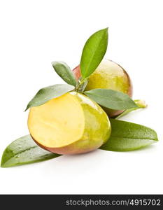 photo of tropical mango fruit with green leaves on white isolated background