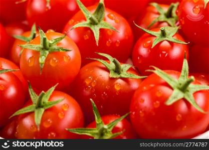 photo of very fresh tomatoes presented on white background