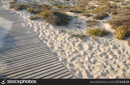 photo of walkway to beach with grass dune