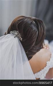 Photo of wedding hairstyle with veil and decorations.. Large photo of the brides wedding hairstyle, decorated with a veil and ha