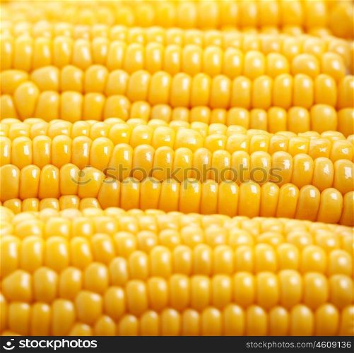 Photo of yellow corn background, abstract backgrounds, harvest season, healthy organic nutrition, maize cob, golden textured wallpaper, fresh prepared grain, tasty vegetable, vegetarian meal