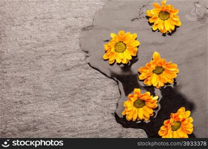 Photo of yellow flowers on the floor