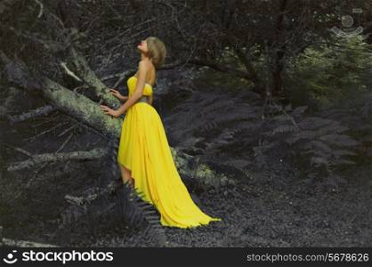 Photo of young beautiful lady in fairy forest