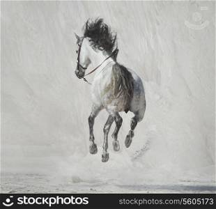 Photo presenting the galloping majestic horse