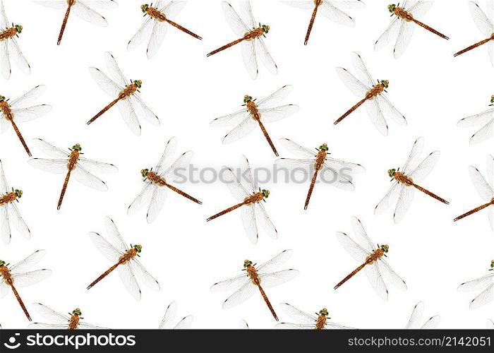 Photo stylized dragonfly isolated on white. Seamless pattern. Repeating texture.