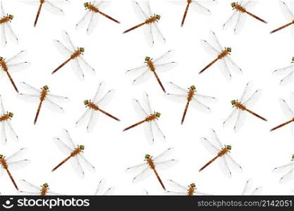 Photo stylized dragonfly isolated on white. Seamless pattern. Repeating texture.