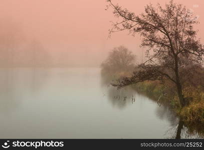 Photo sunrise over the forest pond in Poland, november, autumn,very dense fog,mystical and mysterious atmosphere with the use of special filters special effects. Horizontal view.