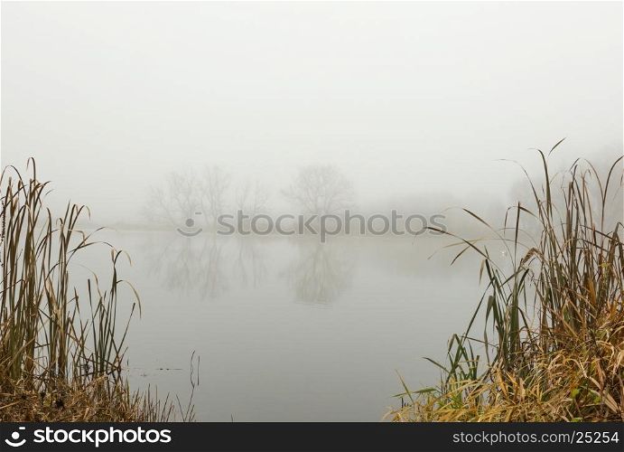 Photo very foggy morning on the forest pond in November. An interesting mysterious and mystical landscape. Horizontal view.