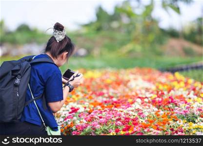 photographer taking photo and shooting flower bloom in the garden - photographer woman with camera