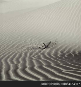 Photographs of Sand Dunes of Death Valley California