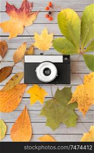 photography and season concept - film camera and autumn leaves on gray wooden boards background. film camera and autumn leaves on wooden boards