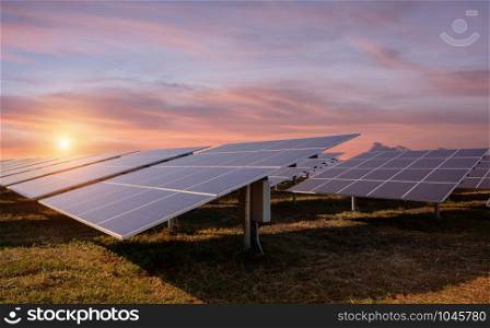Photovoltaic solar energy panels and sunlight at sunset