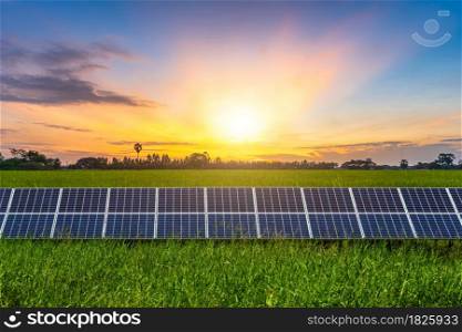 Photovoltaic solar power panel and landscape of Rice field green grass with field cornfield or in Asia country agriculture harvest with blue sky sunset background,clean Alternative power energy.