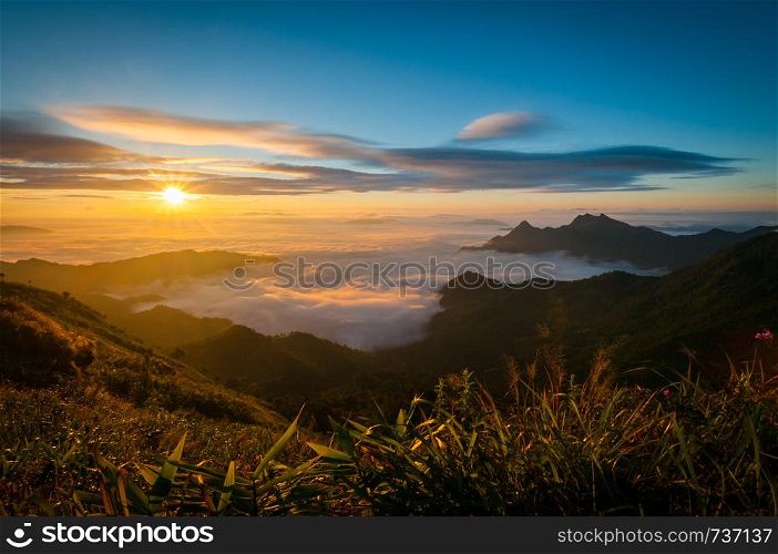 Phu Chi Fa mountain landscape with sunrise, Thailand