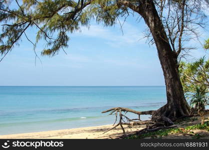 Phuket beach and the sea and trees.