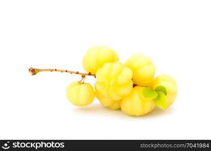 Phyllanthus acidus or star gooseberry isolated on white background