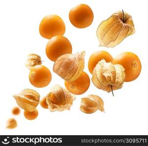Physalis berries levitate on a white background.. Physalis berries levitate on a white background
