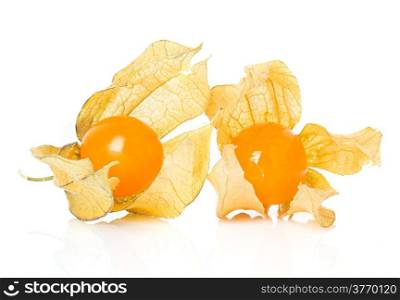 Physalis fruit isolated on white background