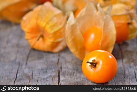 Physalis fruit on old wood