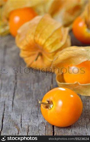 Physalis fruit on old wood