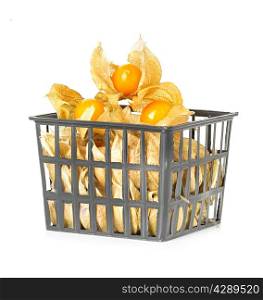 Physalis fruits in plastic basket, isolated on white background
