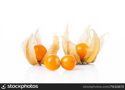 physalis isolated on white background