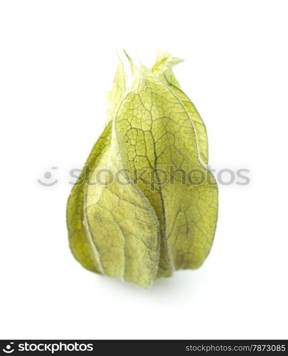 Physalis. Physalis on a white background