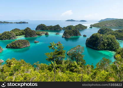 Piaynemo lagoon part of the Fam islands in Raja Ampat