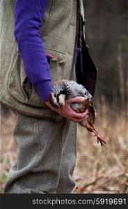 Picker up, clad in tweed, on a shoot, holding a retrieved partridge