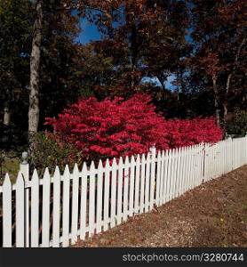 Picket fence in East Hamptons