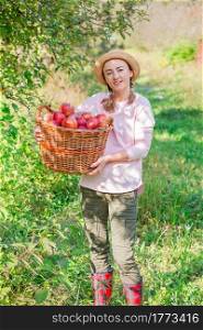 Picking apples. Harvesting apples. Woman with apples in the garden. Approving Gestures Stock Photos.. Picking apples. Harvesting apples. Woman with apples in the garden.