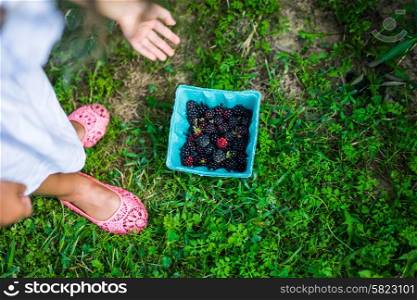 Picking blackberries at the farm
