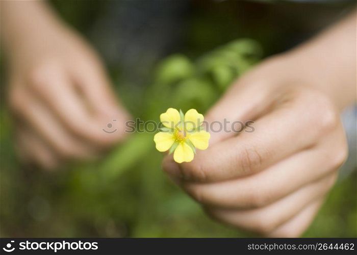 Picking flowers
