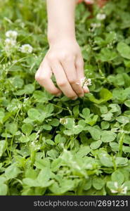 Picking flowers