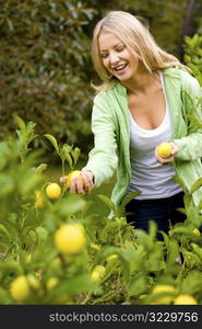 Picking Lemons