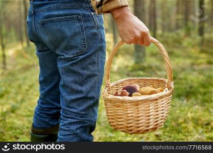 picking season and leisure people concept - close up of middle aged man with wicker basket of mushrooms in autumn forest. man with basket picking mushrooms in forest