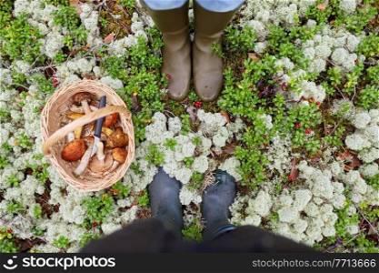 picking season and leisure people concept - legs in rubber boots and mushroom basket in forest. legs in rubber boots and mushroom basket in forest